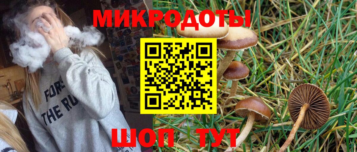 что такое   Галлюциногенные грибы прущие грибы  Реутов  Вход с VPN  Псилоцибиновые грибы GOLDEN TEACHER 