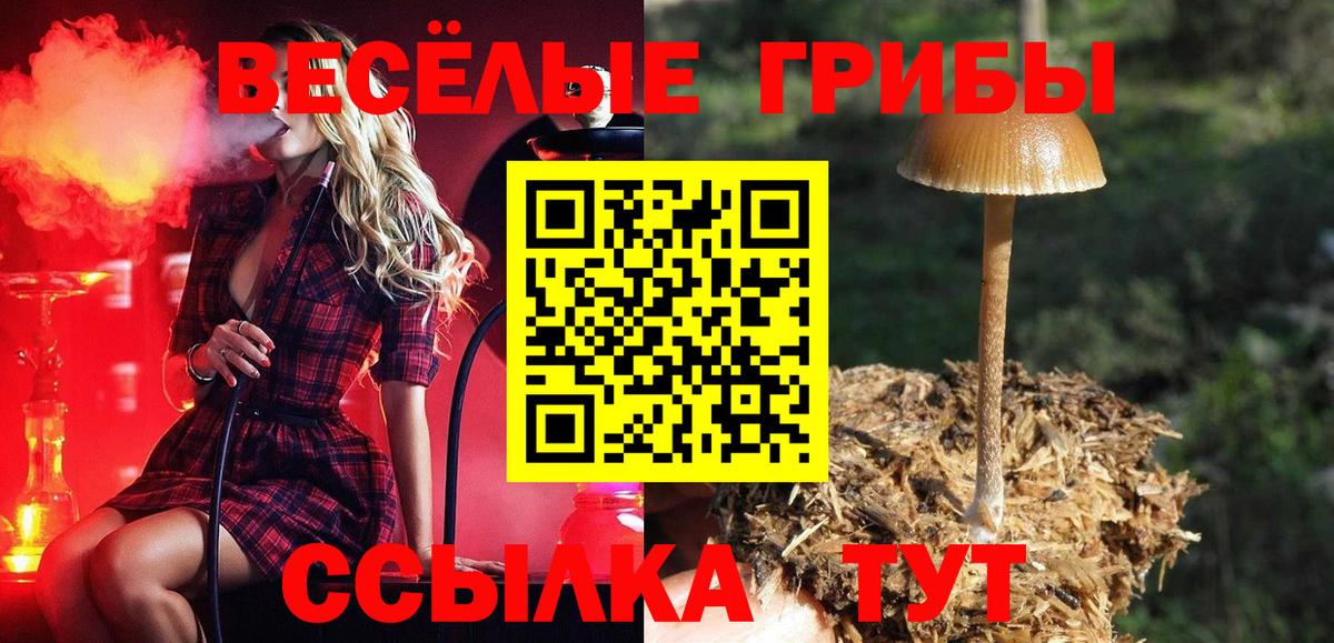 Псилоцибиновые грибы мицелий Реутов